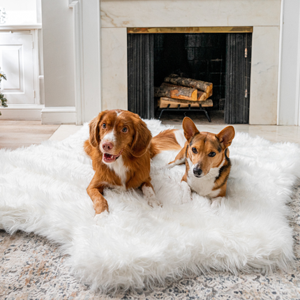 PupRug™ Animal Print Memory Foam Dog Bed - Polar Bear Faux Hide