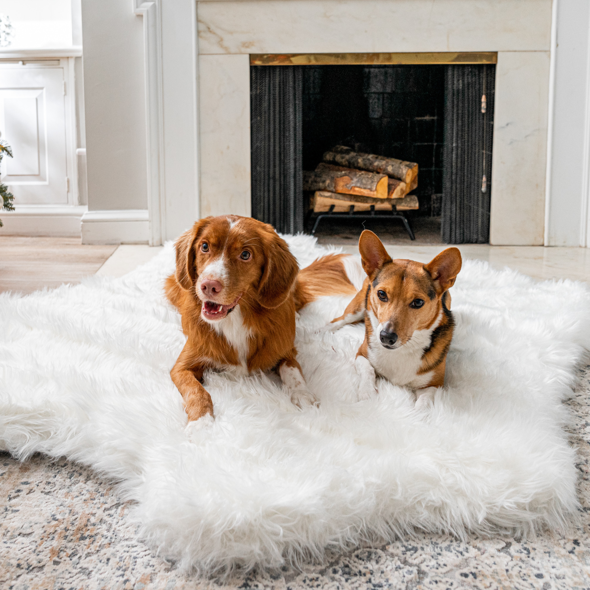 PupRug Animal Print Memory Foam Dog Bed - Polar Bear Faux Hide