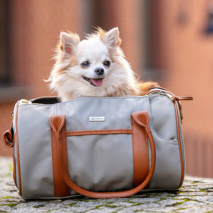 Small Beige Pet Carrier and Multifunctional Bag