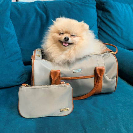 Small Beige Pet Carrier and Multifunctional Bag