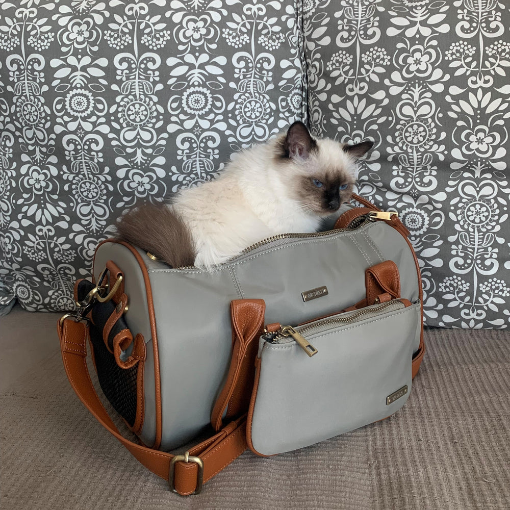 Small Beige Pet Carrier and Multifunctional Bag
