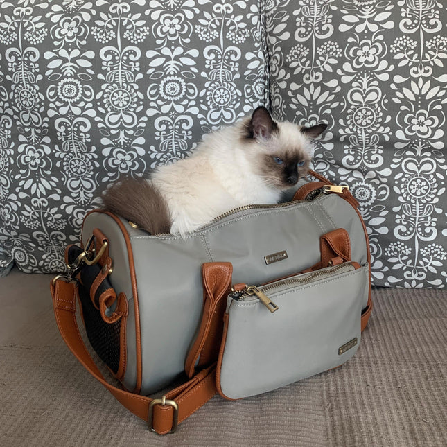 Small Beige Pet Carrier and Multifunctional Bag