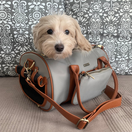 Small Beige Pet Carrier and Multifunctional Bag