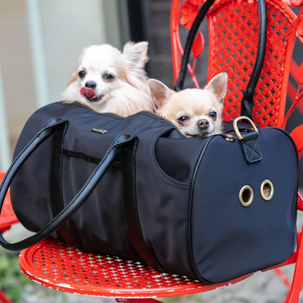 Large Pet Carrier and Multifunctional Bag in Black