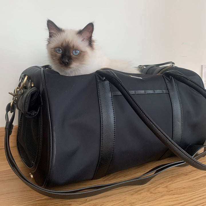 Large Pet Carrier and Multifunctional Bag in Black