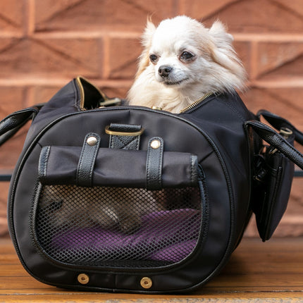 Large Pet Carrier and Multifunctional Bag in Black