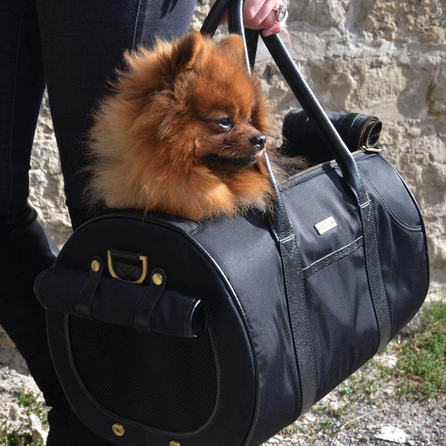 Large Pet Carrier and Multifunctional Bag in Black