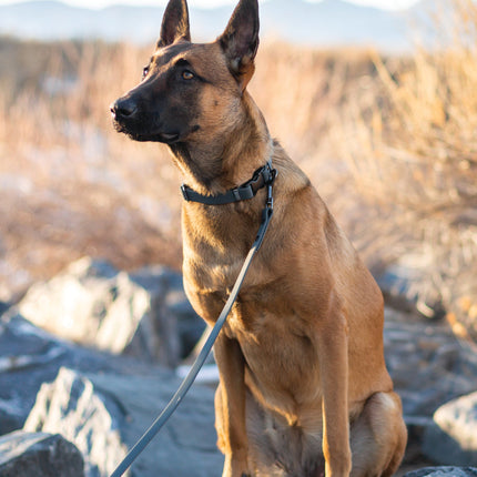 Waterproof Charcoal Super Soft PVC Dog Collar