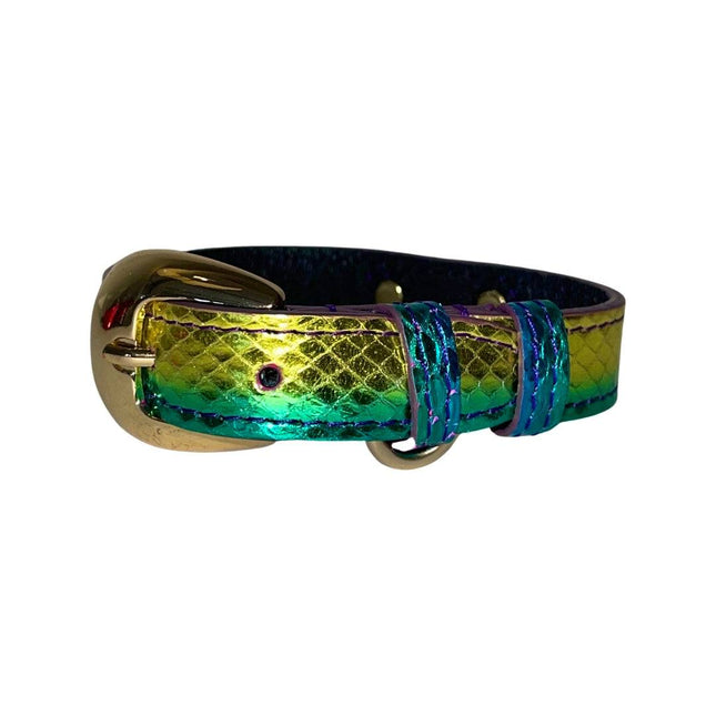 XS/S 7”-14” Yellow/Green/Red Custom Snake Collar/Custom Gold Italian Hardware