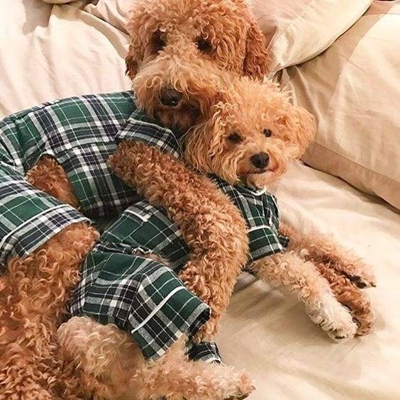 Green Flannel Pajamas