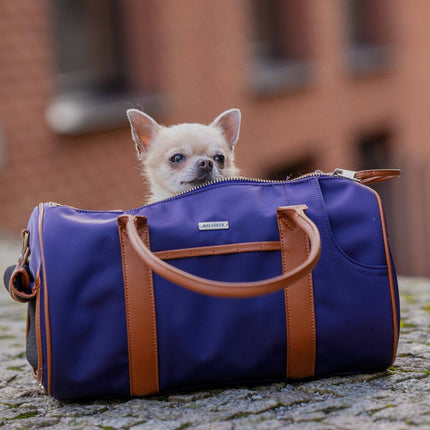 Pet Carrier Medium + Multifunctional Purse - Dark Blue