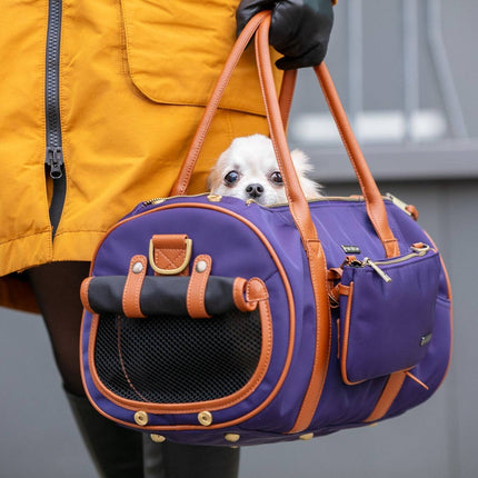 Pet Carrier Medium + Multifunctional Purse - Dark Blue