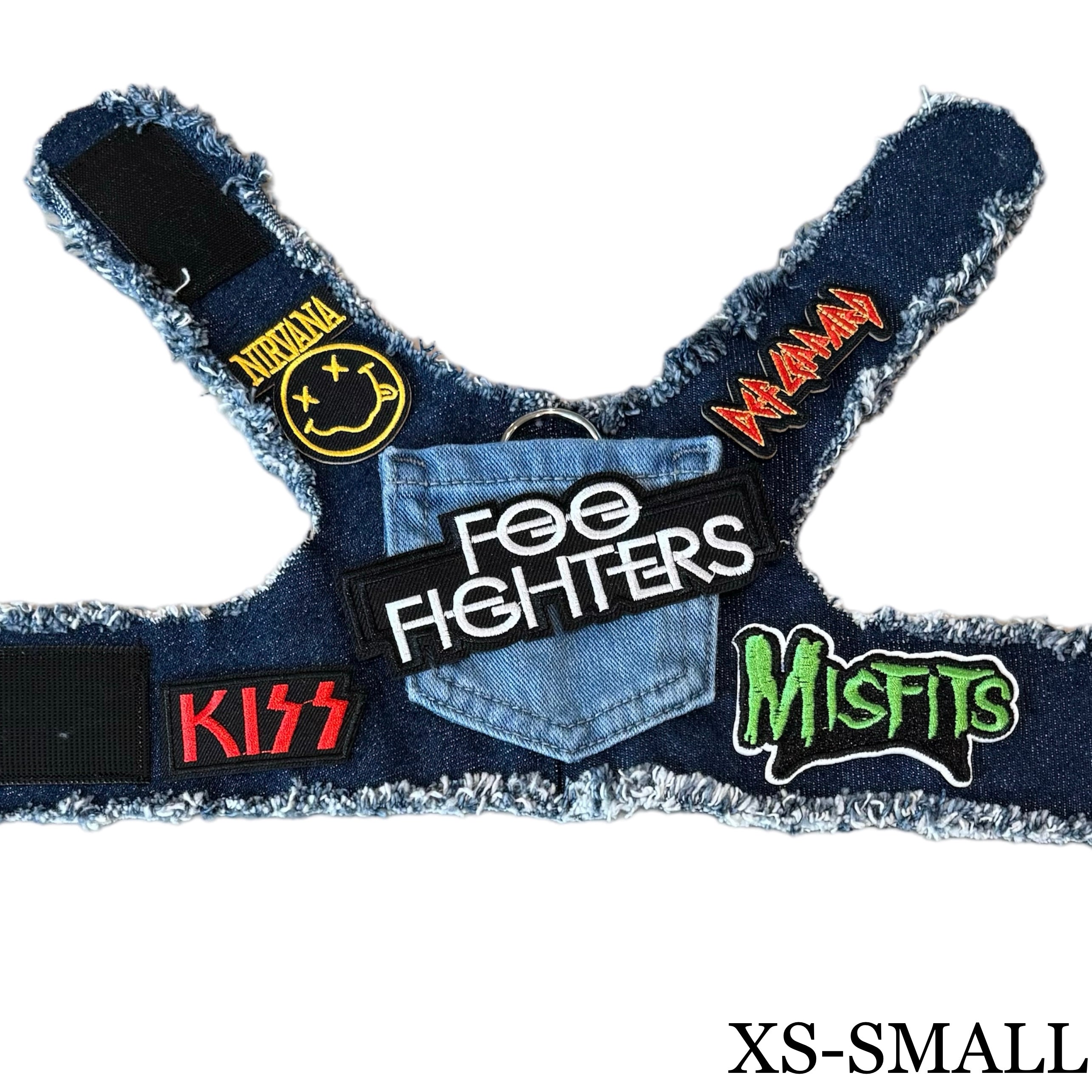 Foo Fighters Harness