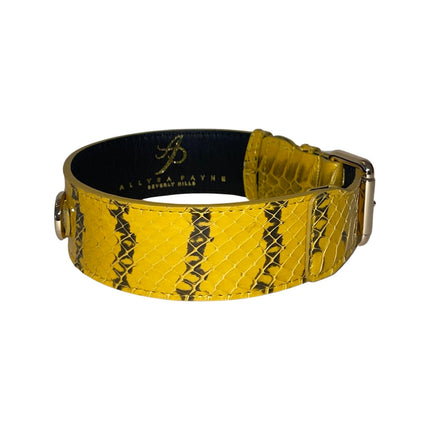 Mustard Yellow & Black Snake Classic Collar