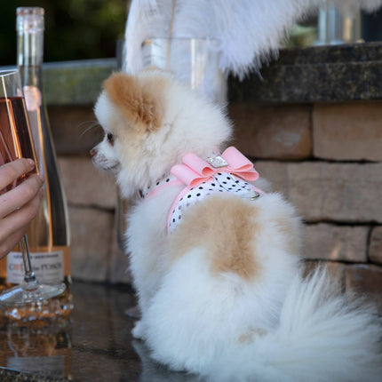 Puppy Pink Big Bow Tinkie Harness with Puppy Pink Trim