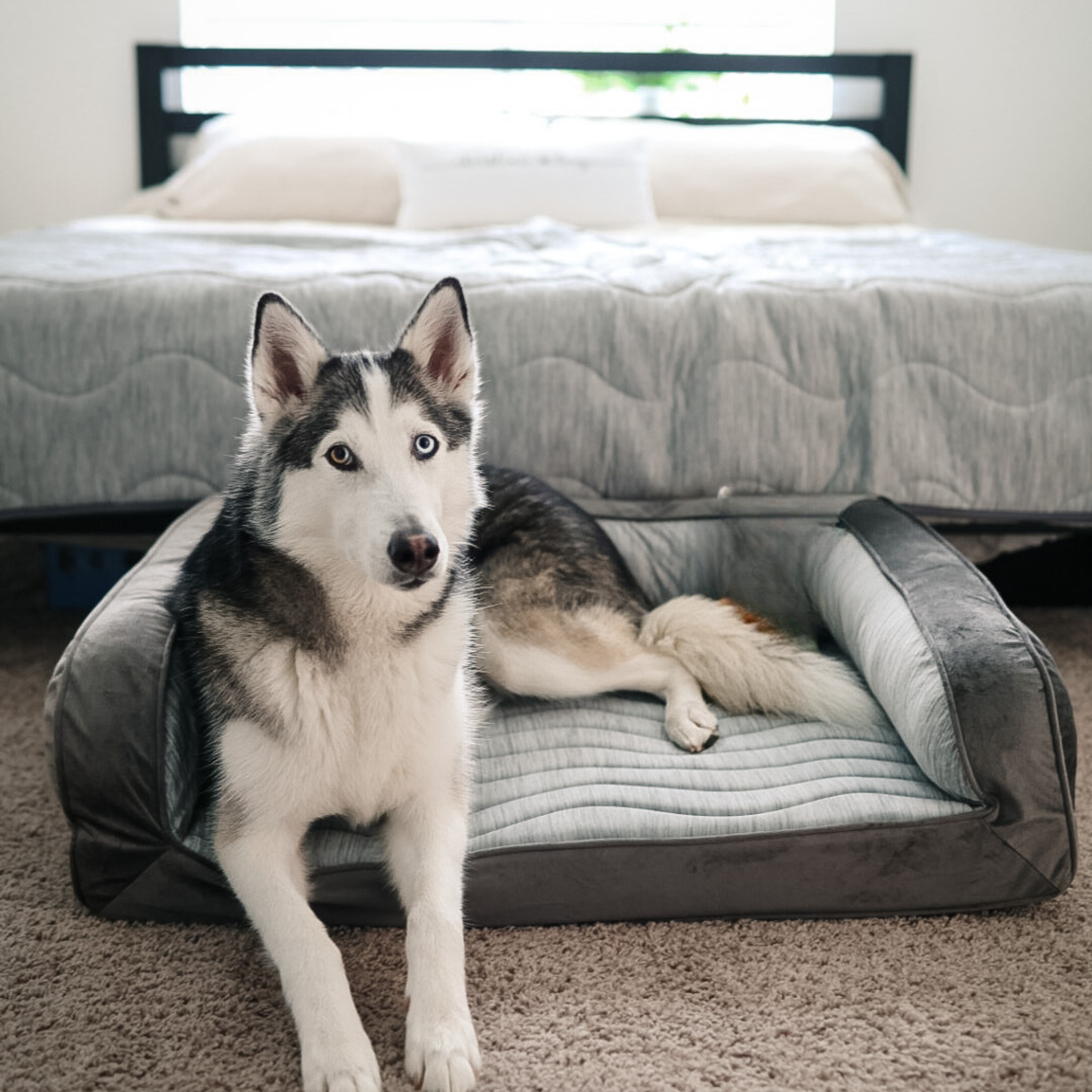 PupChillCooling Bolster Dog Bed + Waterproof Blanket Bundle - Arctic Grey