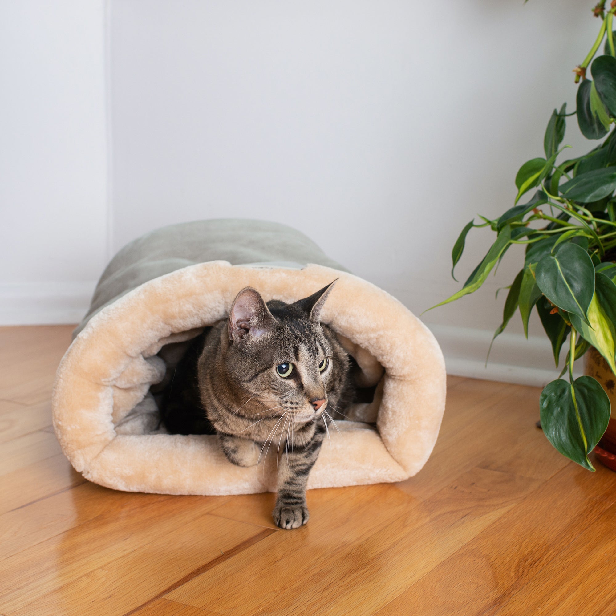 Armarkat Sleep Cat Bed, Soft Cave Bed for Dog and Cat, C15HHL/MH, Sage Green & Beige