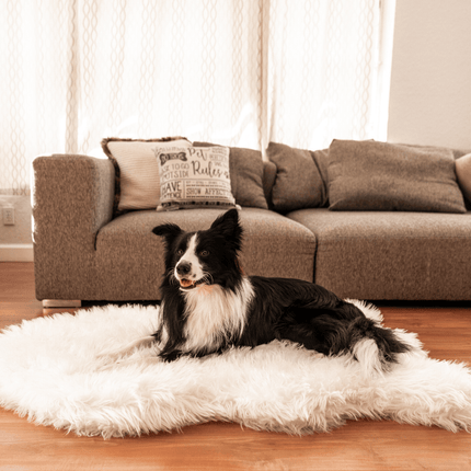 PupRug by Paw.com™ Faux Fur Orthopedic Dog Bed - Curve Polar White