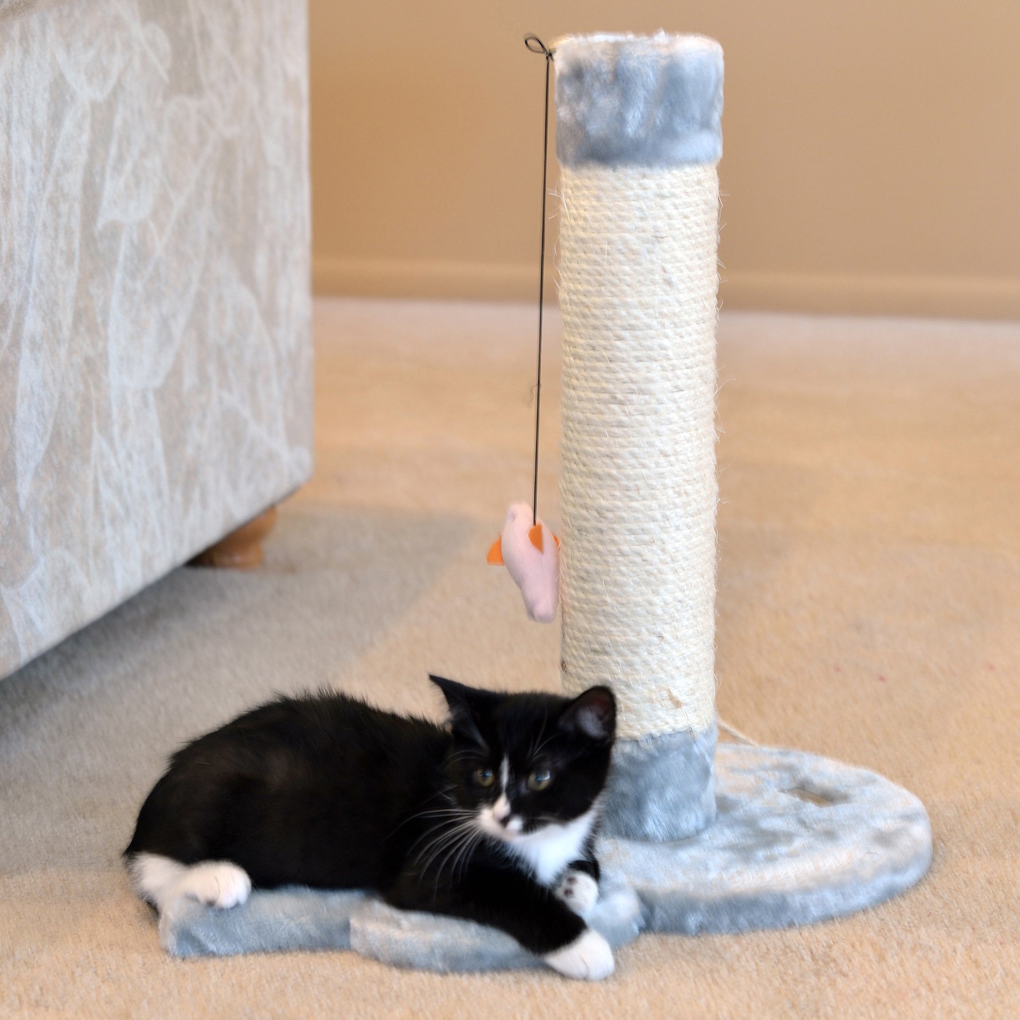 Armarkat Mouse Shape Cat Scratcher Toy, Sisal Scratching Post For Kitty TraInIng