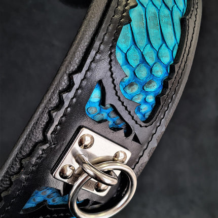 The ''Morelia Python'' collar