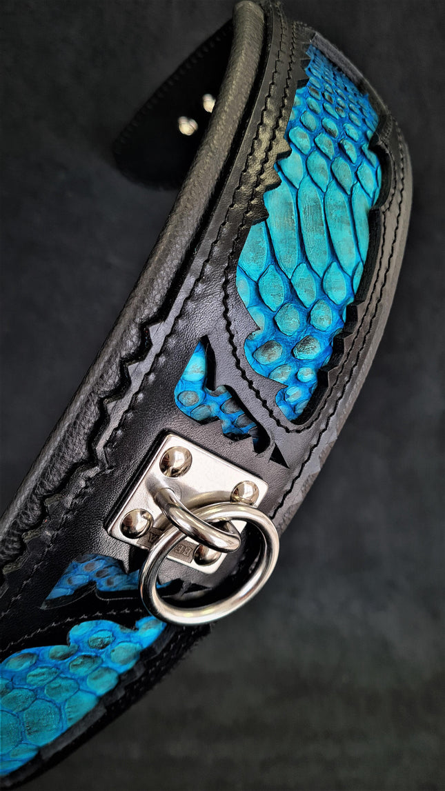 The ''Morelia Python'' collar