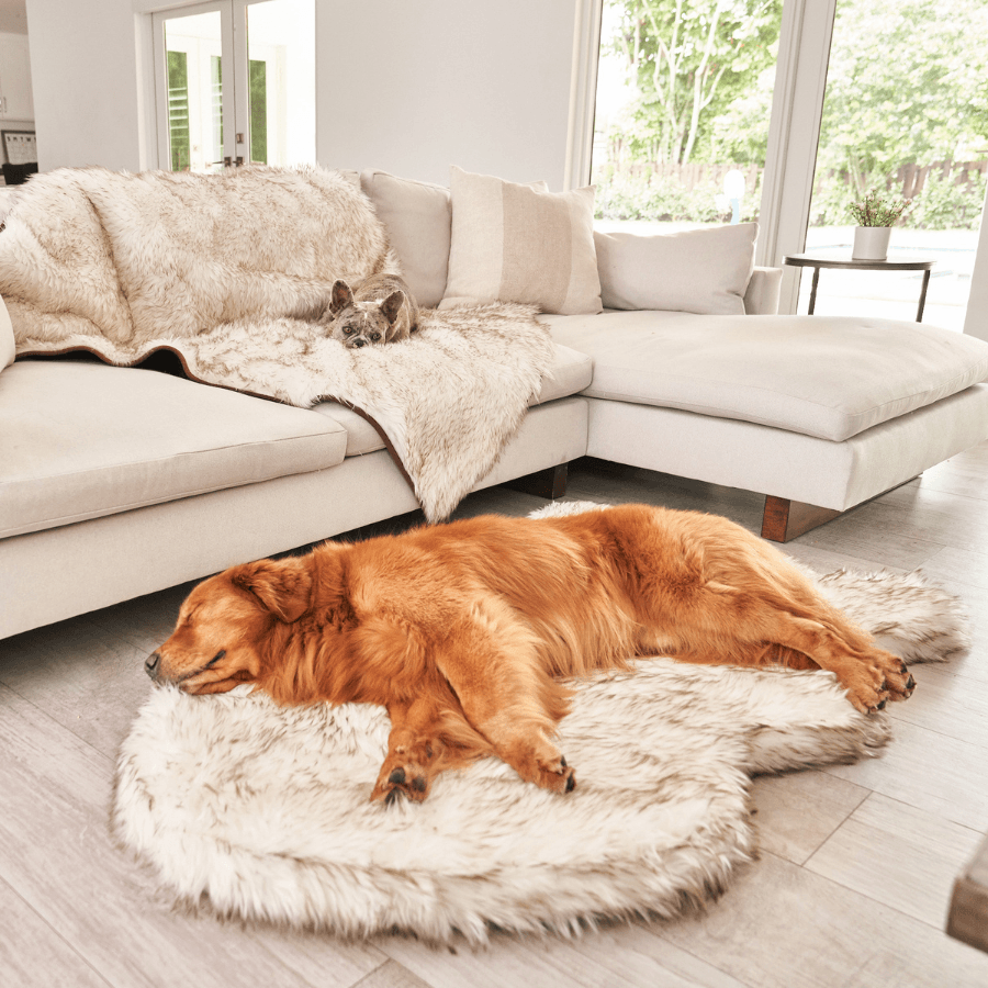 PupRug by Faux Fur Orthopedic Dog Bed - Curve White with Brown Accents