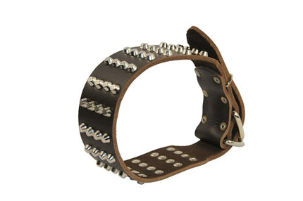 4 Row Spikes Collar 2 1/4" Width