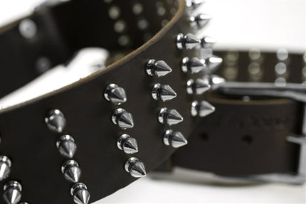 4 Row Spikes Collar 2 1/4" Width