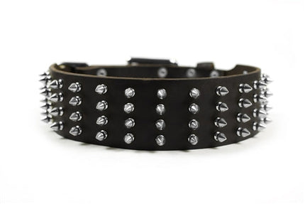 4 Row Spikes Collar 2 1/4" Width