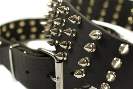 4 Row Spikes Collar 2 1/4" Width