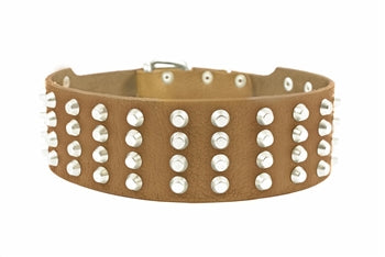 4 Row Studs Collar 2 1/4" Width