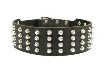 4 Row Studs Collar 2 1/4" Width