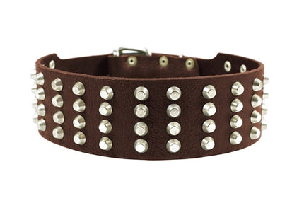 4 Row Studs Collar 2 1/4" Width