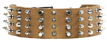 4 Row Studs & Spikes Collar 2 1/4" Width