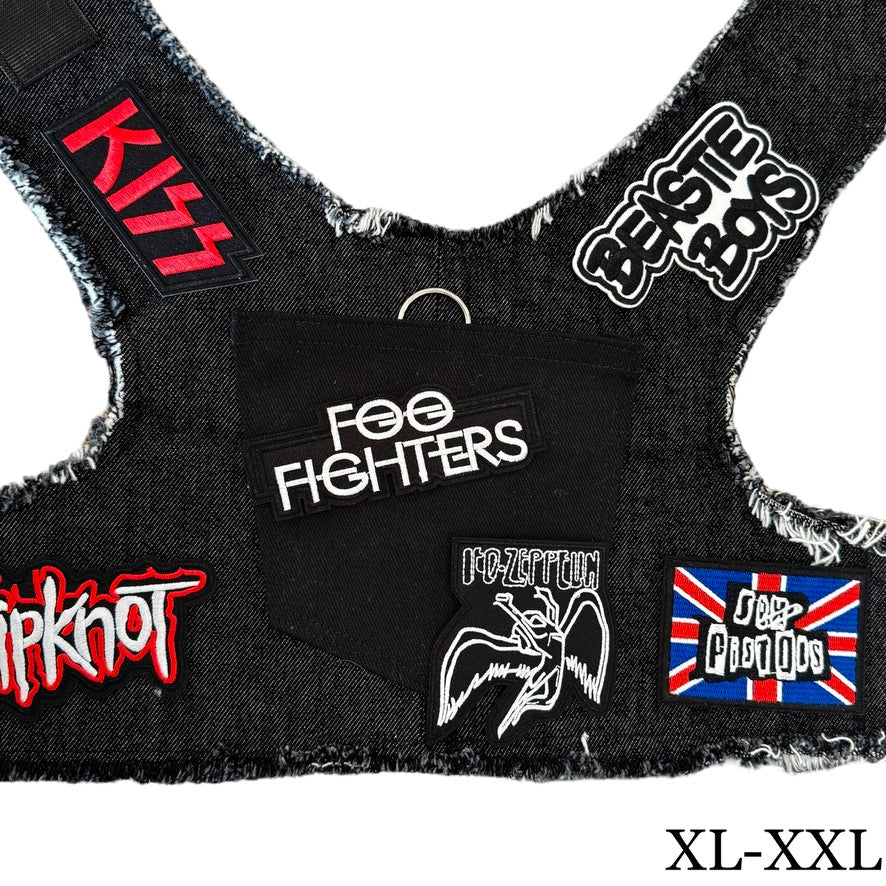 Foo Fighters Harness