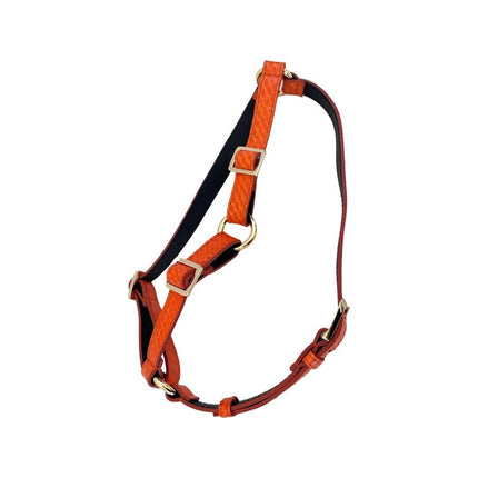 Orange Snake Harness