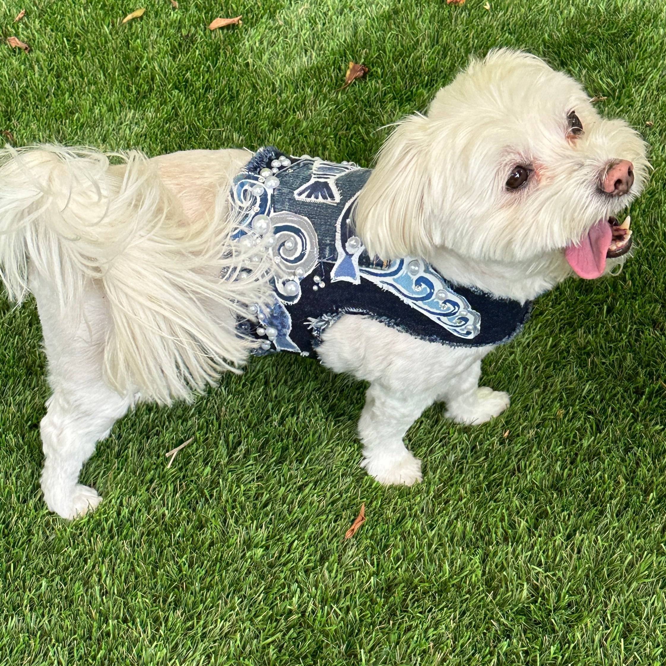 Swimming in Pearls Harness