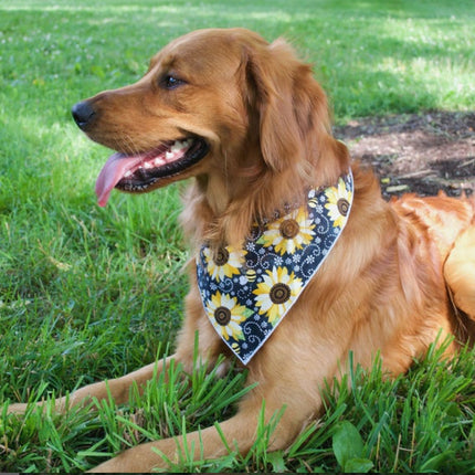 Sunflower on Black Dog Bandana