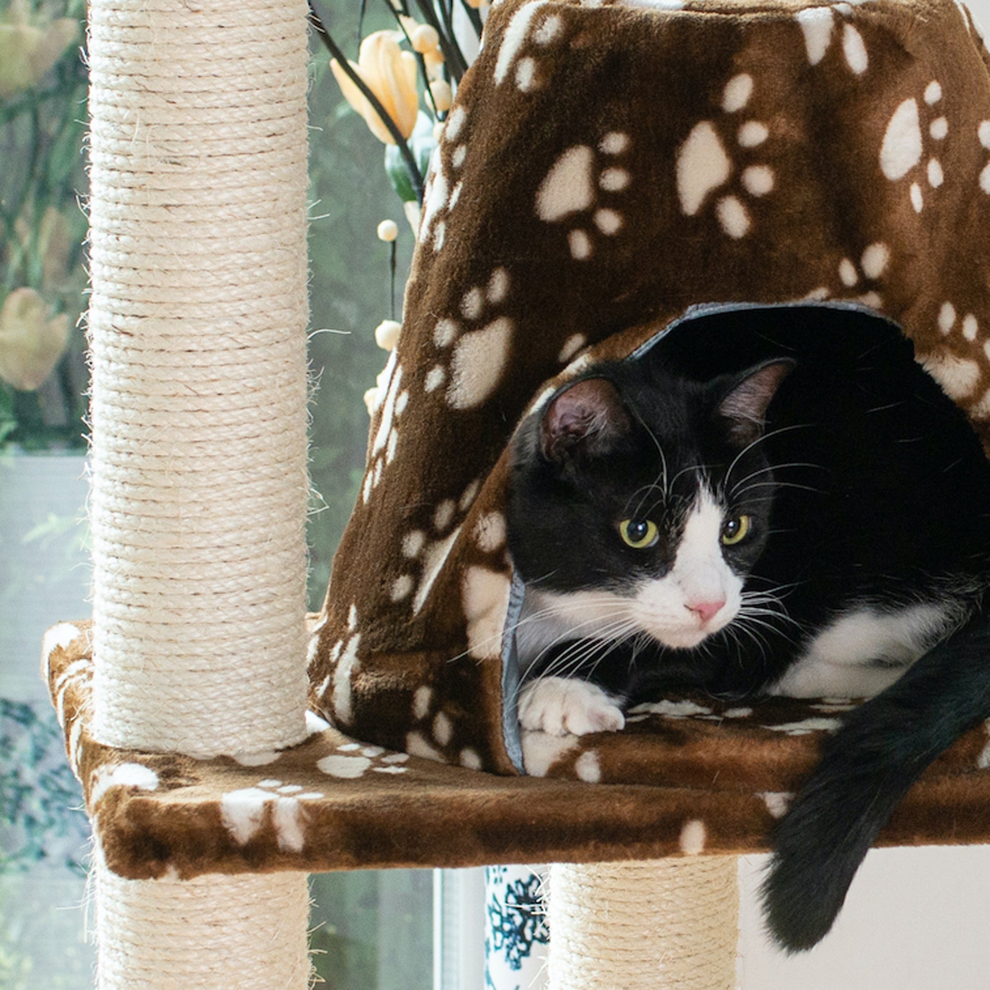 Armarkat Cat Tree Hammock Bed With Natural Sisal Post for Cats and Kittens, A6601