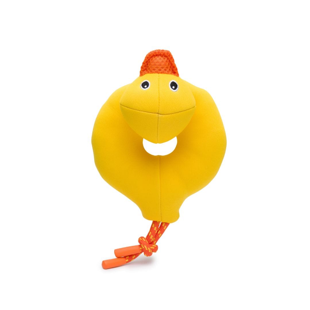 Floatie Duck