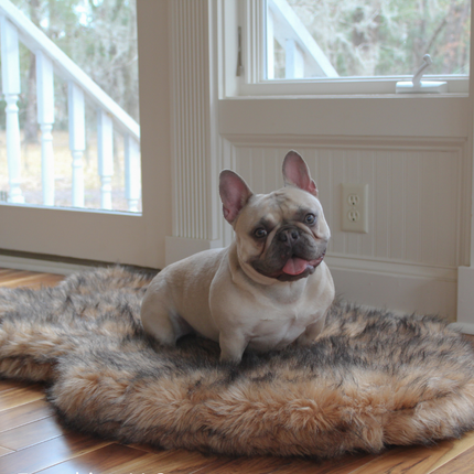 PupRug by Paw.com™ Faux Fur Orthopedic Dog Bed - Curve Sable Tan