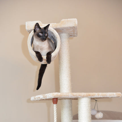 Armarkat 62" Cat tree With Scratch posts Hammock for Cats And Kittens A6202