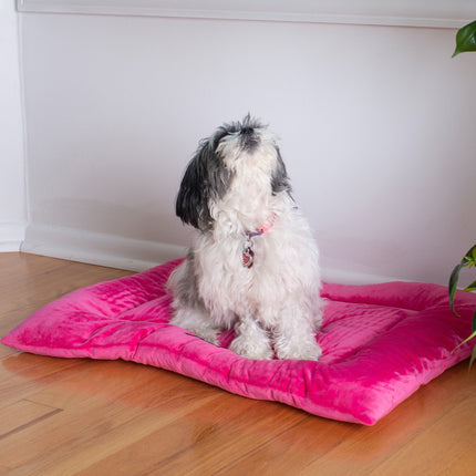 Armarkat M01CZH-M Medium Pet Bed Mat Dog Crate Soft Pad With Poly Fill Cushion Vibrant PInk