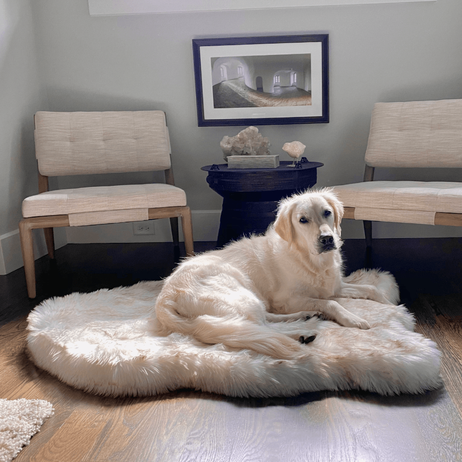 PupRug by Faux Fur Orthopedic Dog Bed - Curve White with Brown Accents Large (50