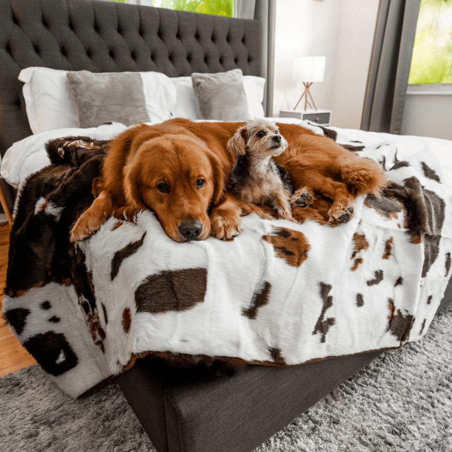 PupProtector Waterproof Throw Blanket - Brown Faux Cowhide