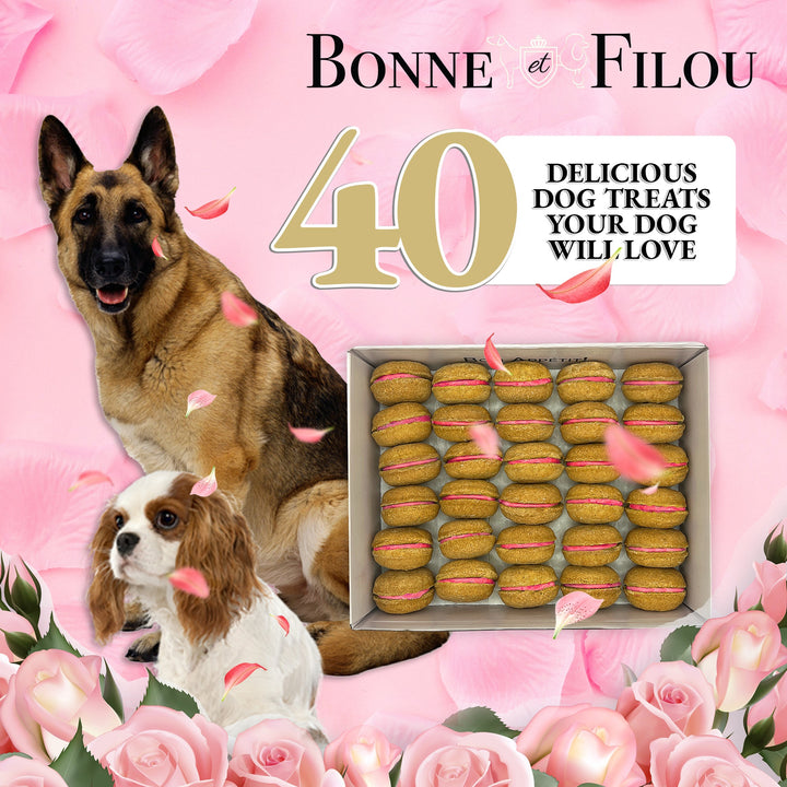 40 Count Dog Macaron Treats Gift Box