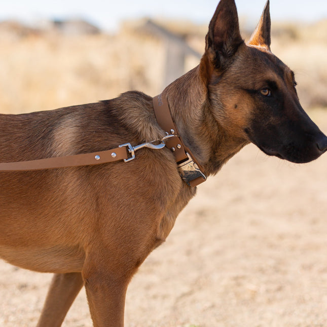 Modern Style Khaki Leather Leash