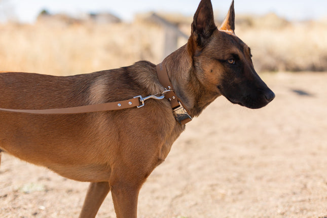 Modern Style Khaki Leather Leash