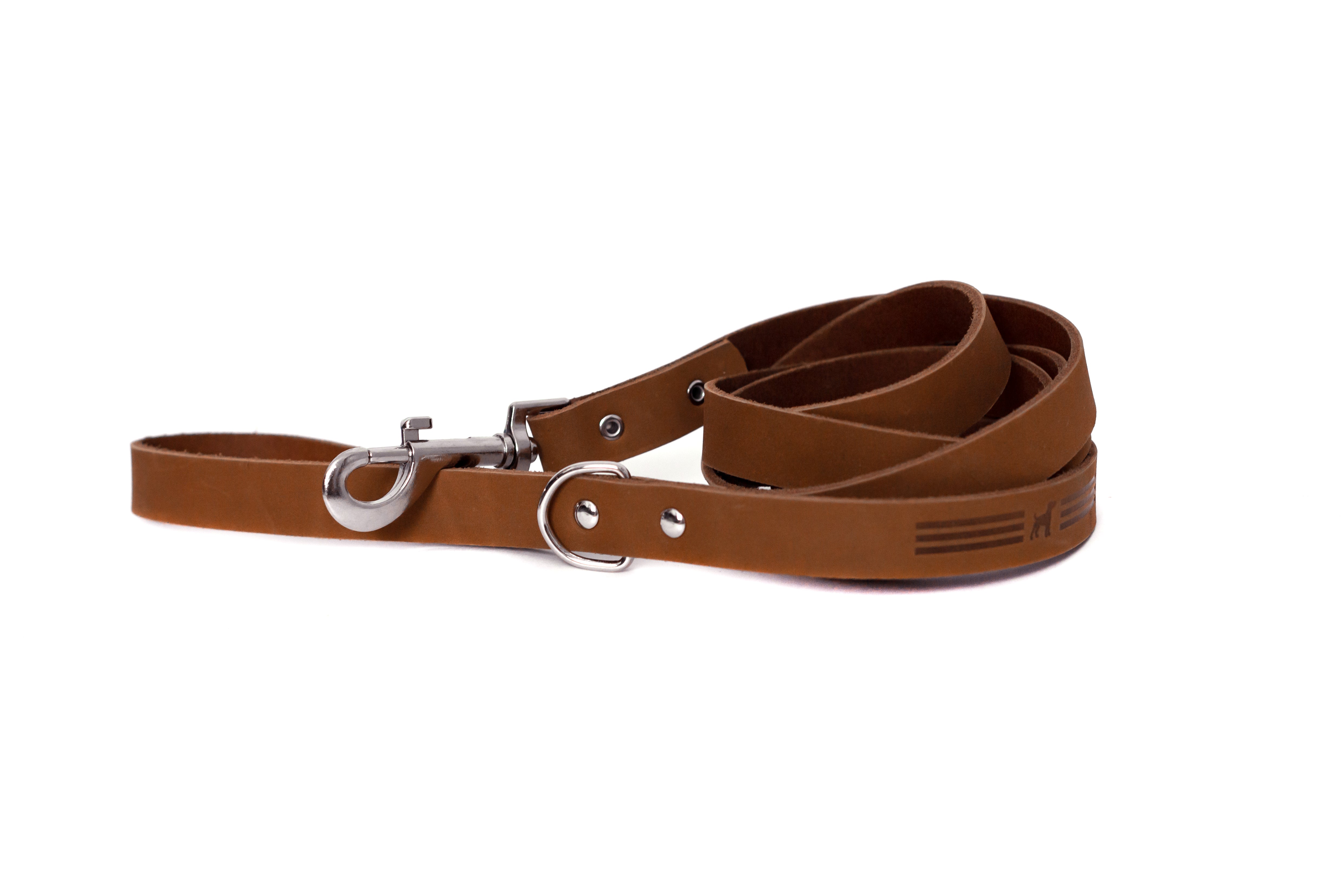 Modern Leather Leash