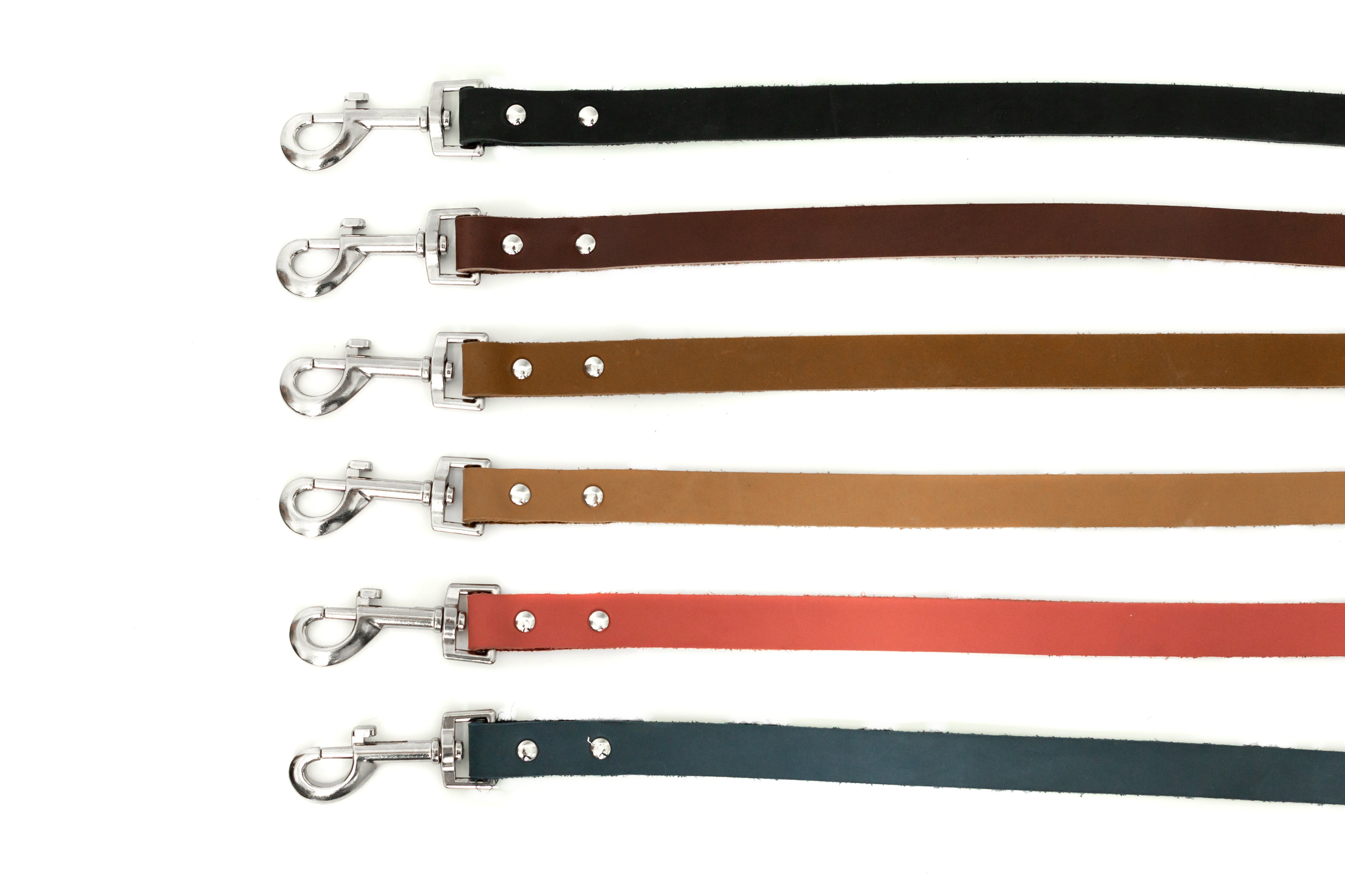 Modern Leather Leash